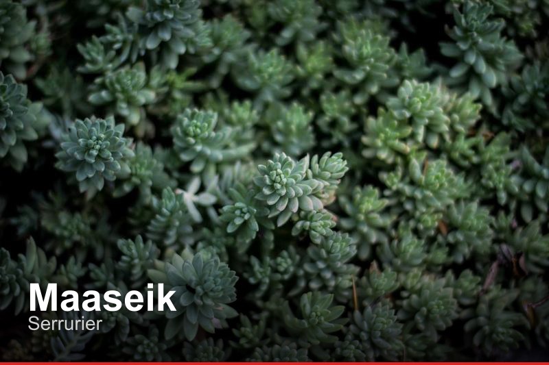 Serrurier à Maaseik, Belgique - Trouvez un professionnel