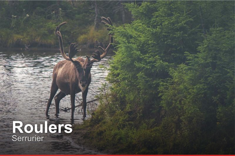 Serrurier à Roulers, Belgique - Trouvez un professionnel